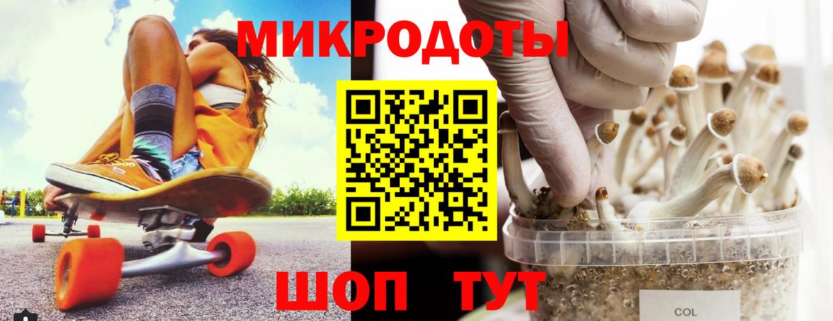Псилоцибиновые грибы прущие грибы  Псилоцибиновые грибы мицелий  Вход с VPN  Усть-Илимск 